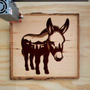 404642_wood-laser-1.jpg
