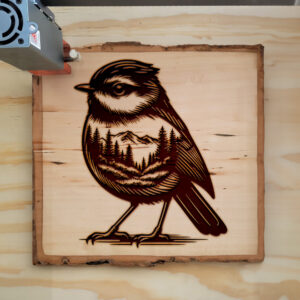 404650_wood-laser-1.jpg