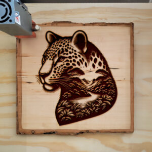 404666_wood-laser-1.jpg