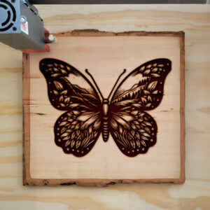404693_wood-laser-1.jpg