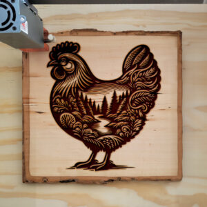 404704_wood-laser-1.jpg