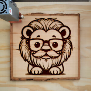 433248_wood-laser-1.jpg
