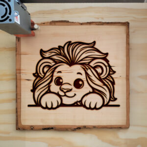 433260_wood-laser-1.jpg