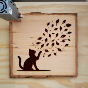 433284_wood-laser-1.jpg