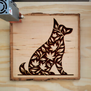 433298_wood-laser-1.jpg