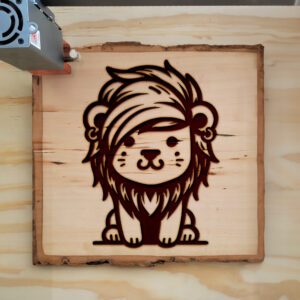 433377_wood-laser-1.jpg