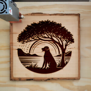 433383_wood-laser-1.jpg