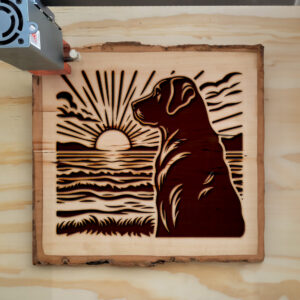 433432_wood-laser-1.jpg