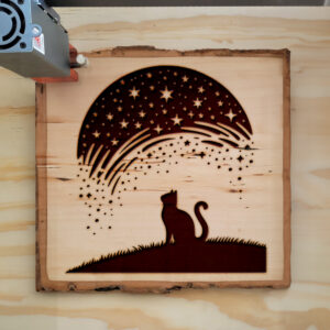 433498_wood-laser-1.jpg