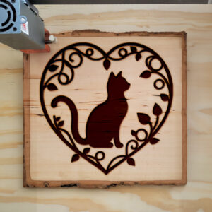 433506_wood-laser-1.jpg