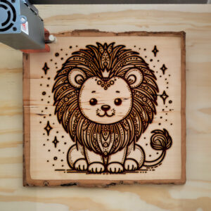 433515_wood-laser-1.jpg