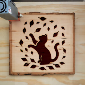 433528_wood-laser-1.jpg