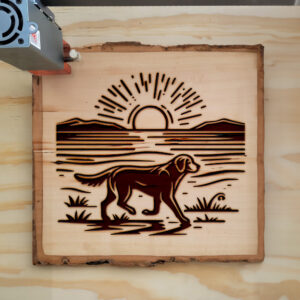 433531_wood-laser-1.jpg