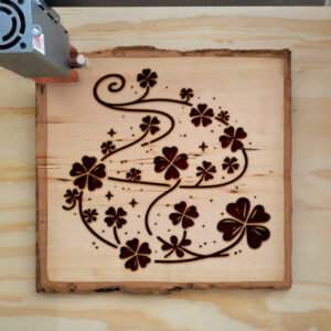 433543_wood-laser-1.jpg