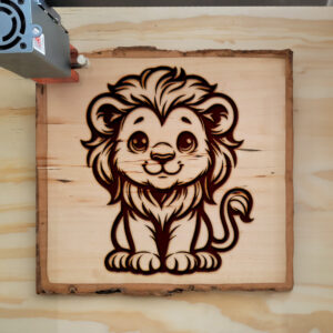433549_wood-laser-1.jpg