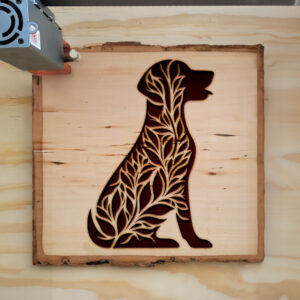 433588_wood-laser-1.jpg