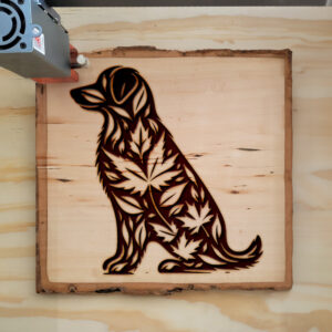 433657_wood-laser-1.jpg