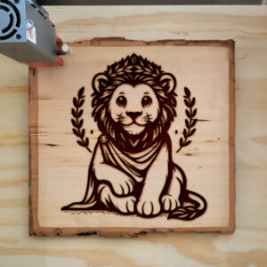 433673_wood-laser-1.jpg