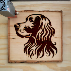 433688_wood-laser-1.jpg