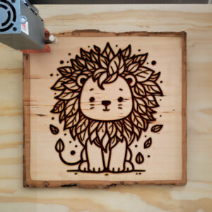 433740_wood-laser-1.jpg