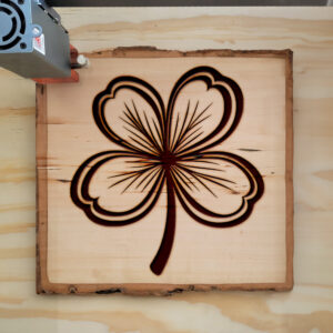 460557_wood-laser-1.jpg