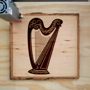 460561_wood-laser-1.jpg