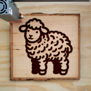 462514_wood-laser-1.jpg