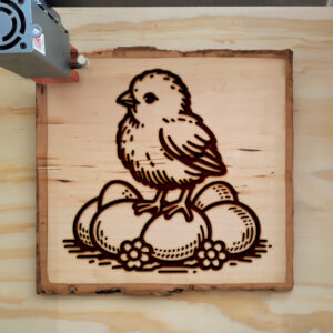 462585_wood-laser-1.jpg