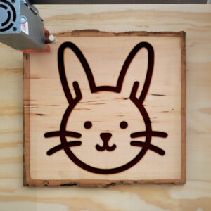 462601_wood-laser-1.jpg