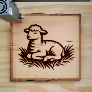 462631_wood-laser-1.jpg