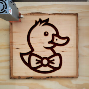 462647_wood-laser-1.jpg