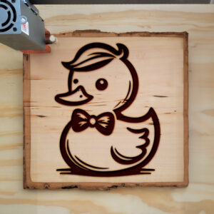 462700_wood-laser-1.jpg