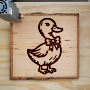 462706_wood-laser-1.jpg