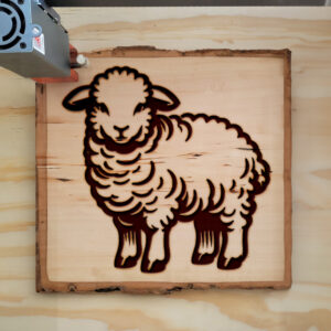 462734_wood-laser-1.jpg