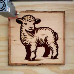 462772_wood-laser-1.jpg