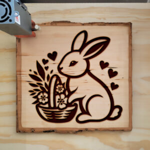462786_wood-laser-1.jpg
