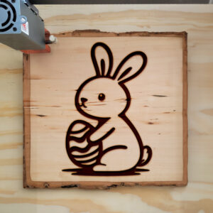 462788_wood-laser-1.jpg