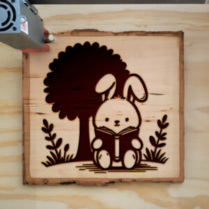 462790_wood-laser-1.jpg