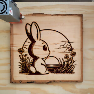 466809_wood-laser-1.jpg
