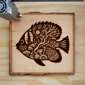 466843_wood-laser-1.jpg