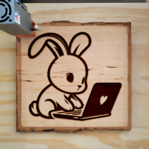 466876_wood-laser-1.jpg