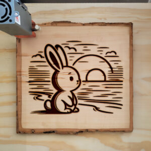 466882_wood-laser-1.jpg