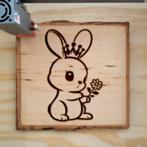 466962_wood-laser-1.jpg