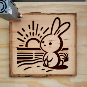 467038_wood-laser-1.jpg