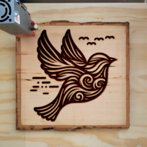 467042_wood-laser-1.jpg