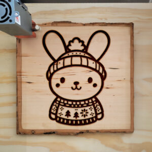 467058_wood-laser-1.jpg
