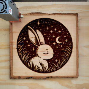 467062_wood-laser-1.jpg