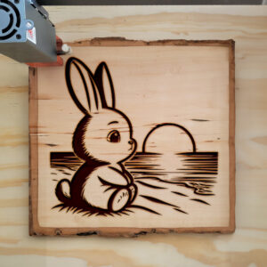 467095_wood-laser-1.jpg