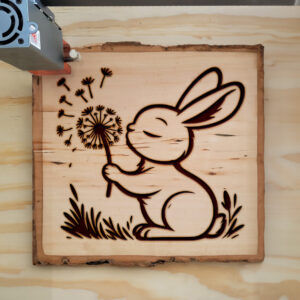 467112_wood-laser-1.jpg