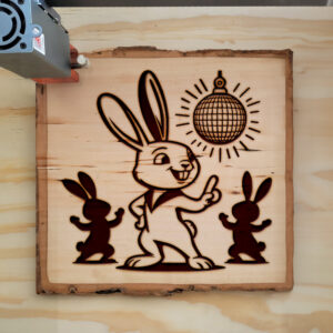 467153_wood-laser-1.jpg